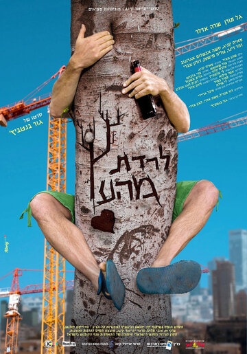 На ложном пути (2013)